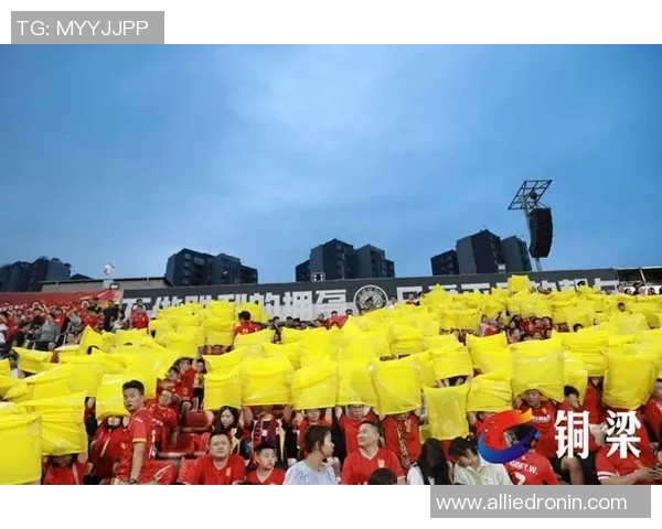 重庆排球队速度之争引发热议球迷与专家各执己见